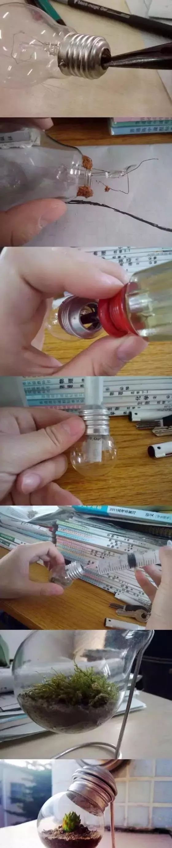 坏灯泡里面加点这个……就足以美醉你的朋友圈，快点动手吧！