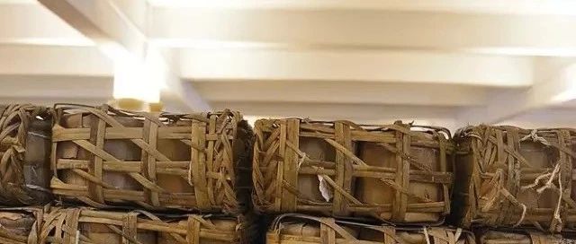 生物工程如何改变世界？...