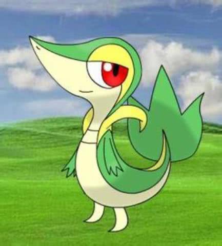 神奇宝贝：盘点那些蛇形宝可梦，单身久了看一只蛇都是眉清目秀！