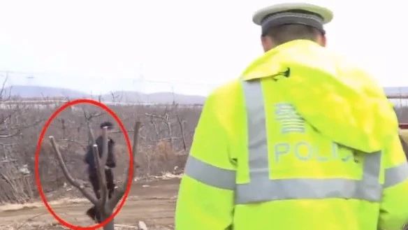 现场:面对交警执法海口男子当街尬舞