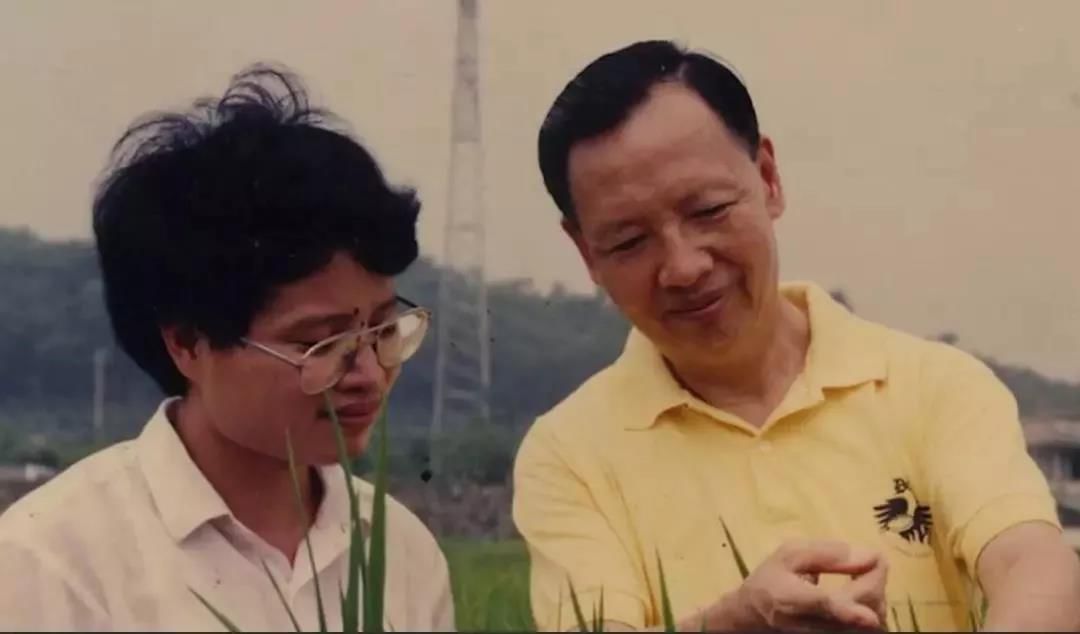 必赢app有赢钱的吗,四季豆种植,在后期巧施叶面肥,延长采收期,让四季豆更高产
