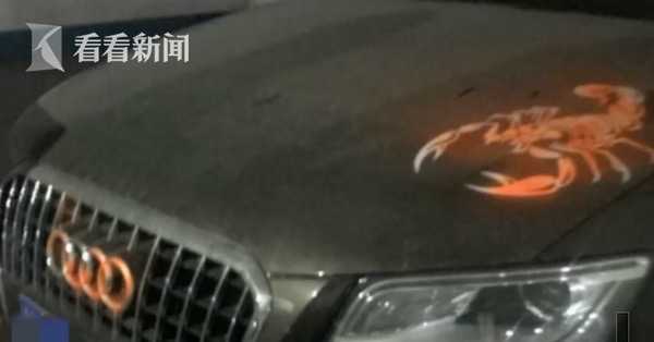 25岁女子连续涂鸦67辆轿车 自称“泼墨艺术”(图)