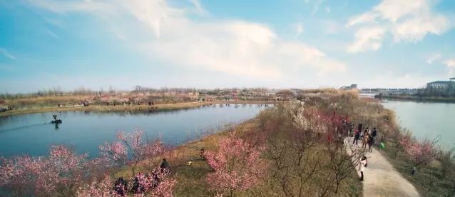 心“宿”春天,情“迁”一周的春色惊喜~