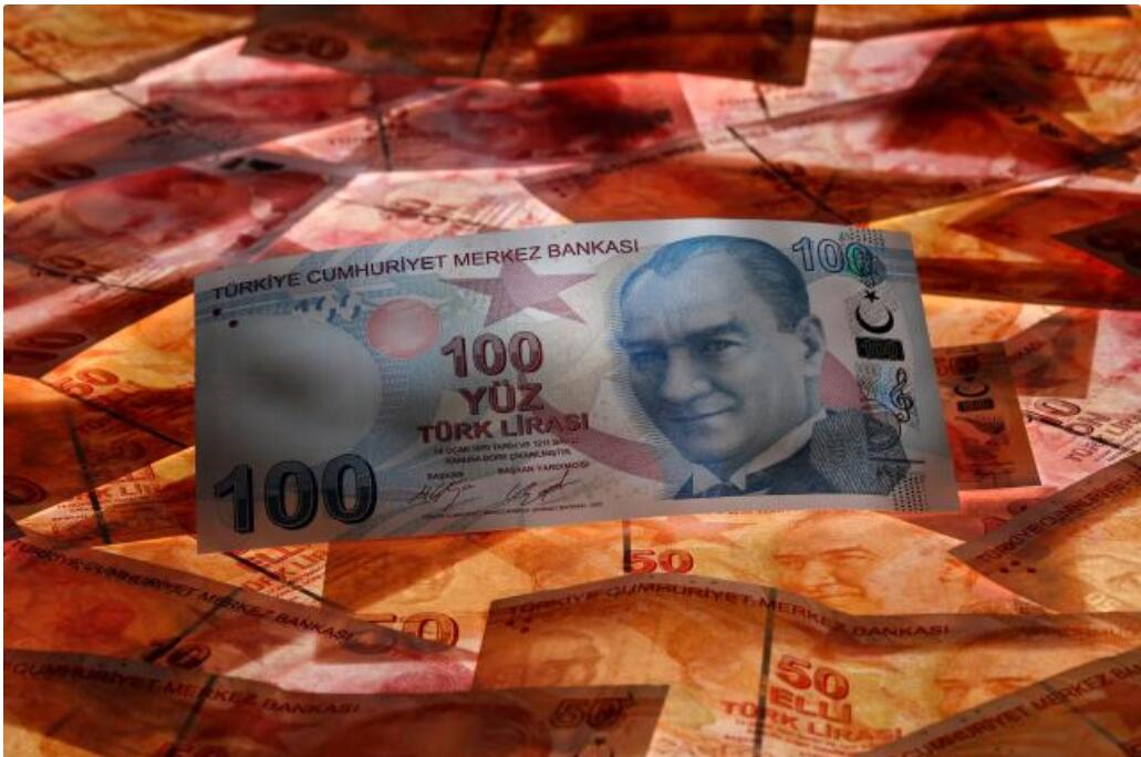 土耳其财长:土耳其将因货币危机变得更强