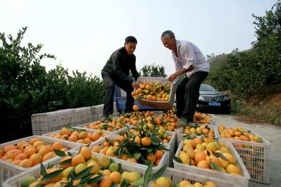 2019被确定为基层减负年,给基层减负到底怎