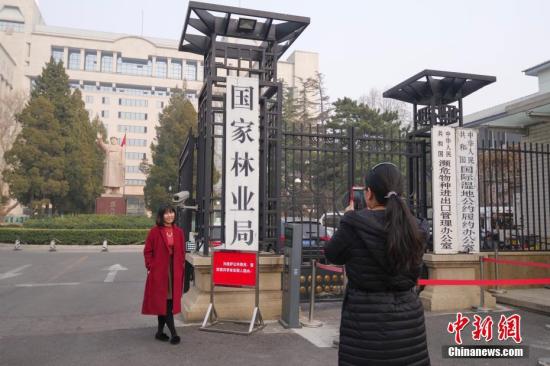 3月13日,民众在国家林业局正门拍照留念。中新社记者 贾天勇 摄