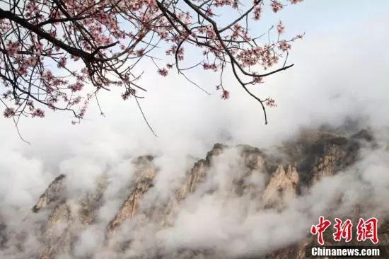 什么什么养性成语_成语故事简笔画