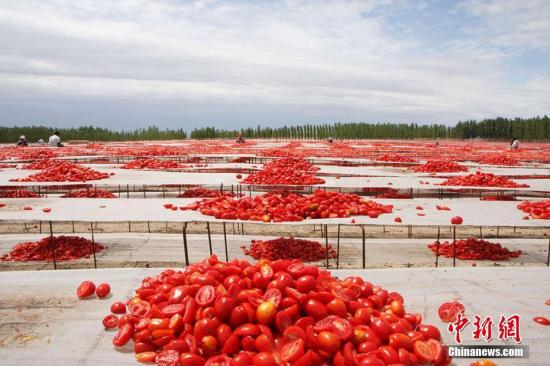 世界日报：成年人每天吃2个番茄可增强肺功能