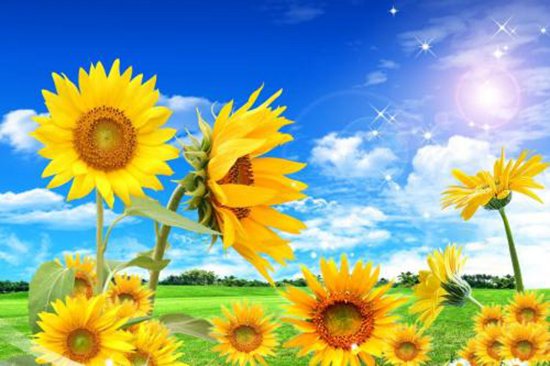 凝聚新时代青年力量