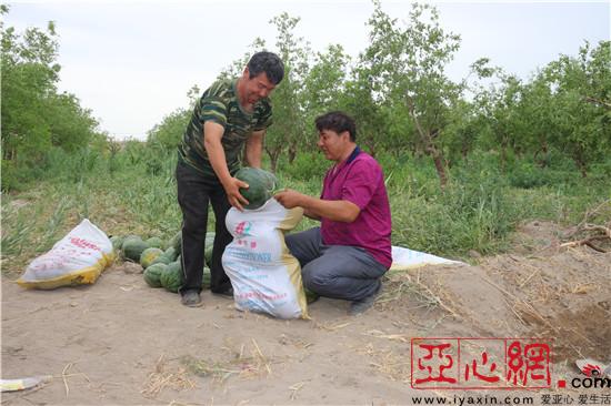 兵团第十二师:摸清致贫才能治贫