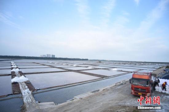 资料图，福建泉港山腰盐场生产作业正常，货车进场装运食盐。中新社记者 陈龙山 摄