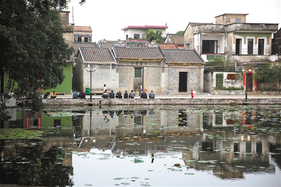 青田县农村人口数_青田县祯埠镇(3)