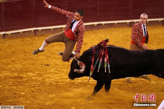 ��������ͼ������ʱ��2019��4��13�գ���������˹���������ŵ��ţ�����ݾ��մ̼��Ķ�ţ������һ����ţʿ�ڱ���ʱ��������ŭ�Ĺ�ţ�����ڵأ��ֳ�һƬ���ҡ�