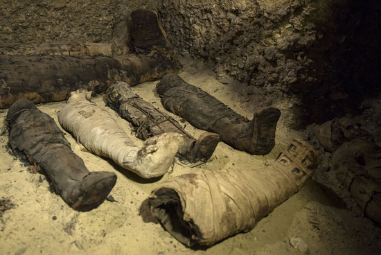 考古大发现!埃及出土近50具木乃伊 有千年历史