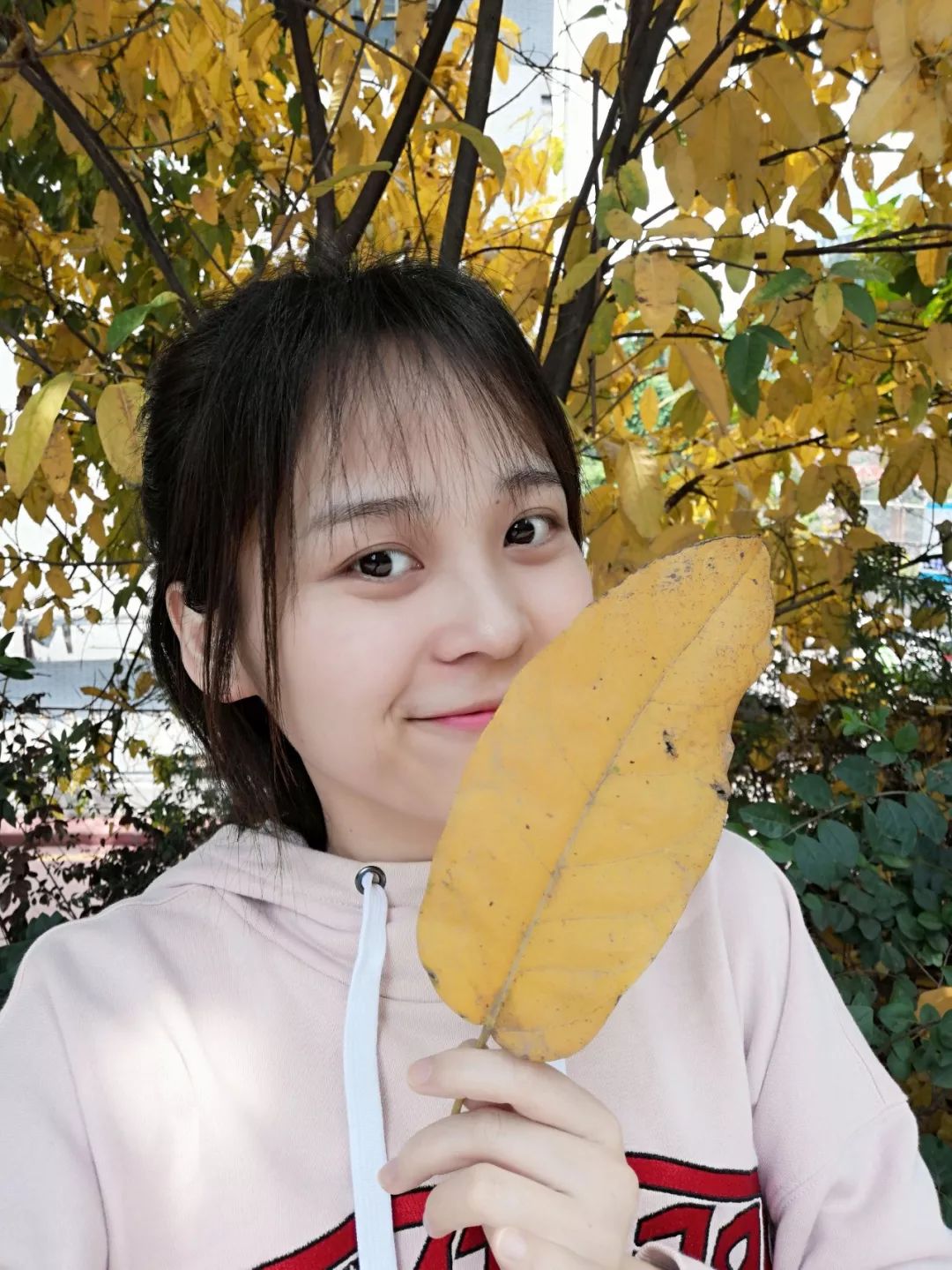 荣耀20i发布，新鲜出炉的小姐姐自拍来啦！