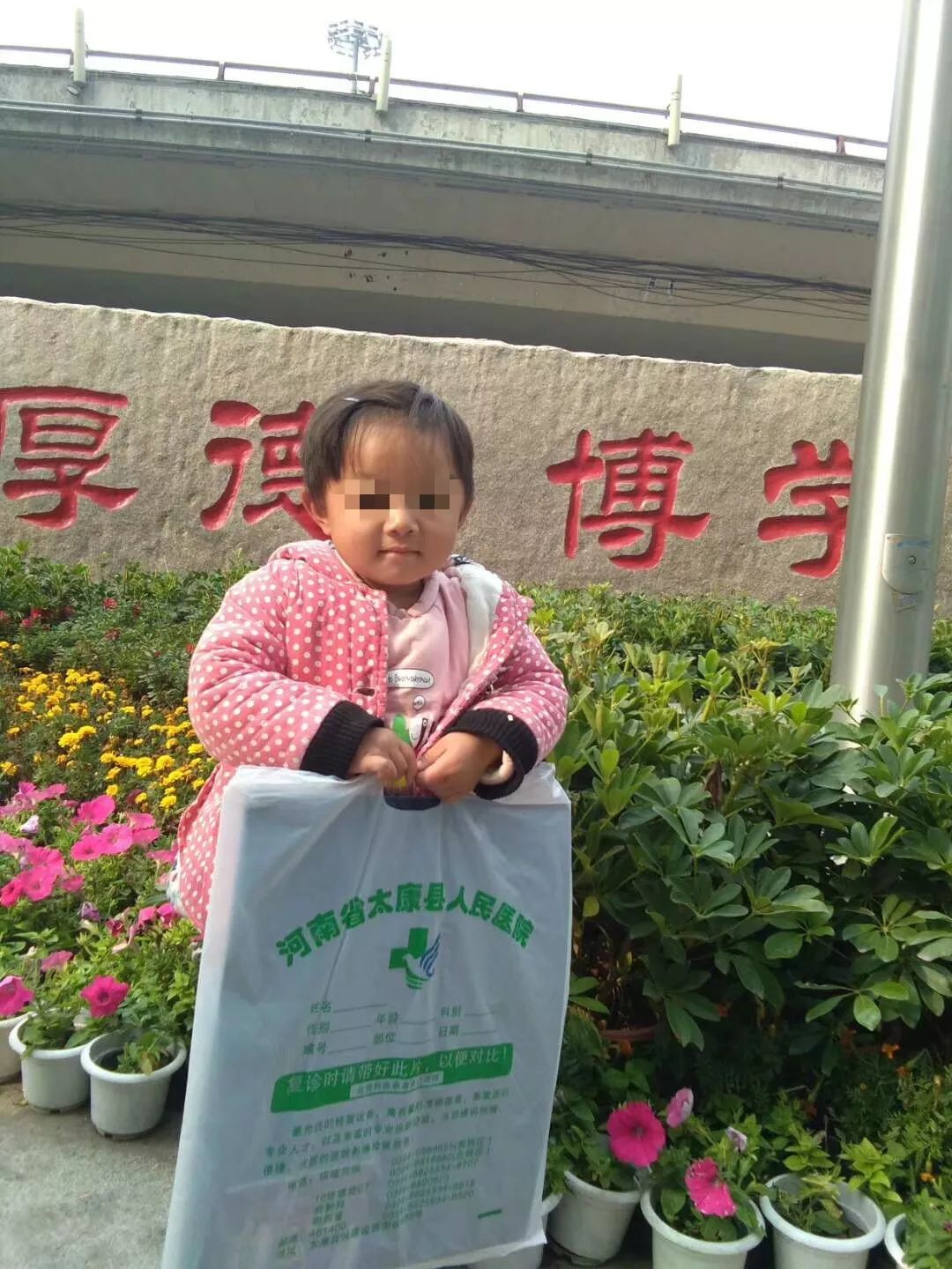 小凤雅母亲诈捐事件还原