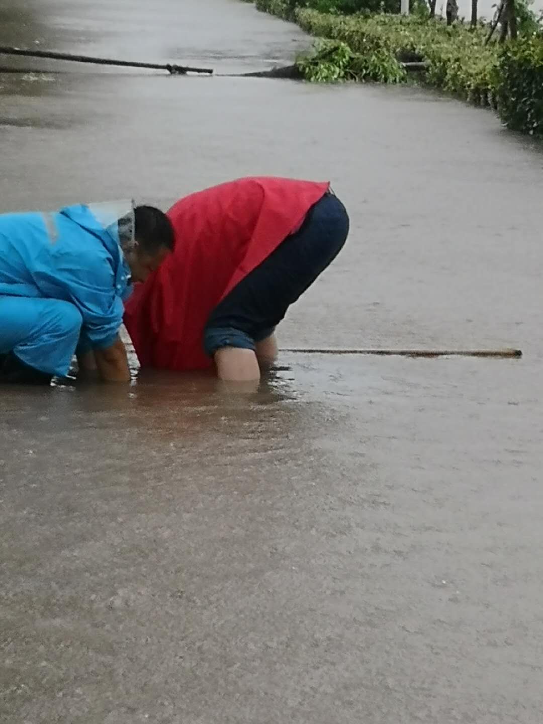 “温比亚”台风中,公交人及时清除下水井口杂物排积水