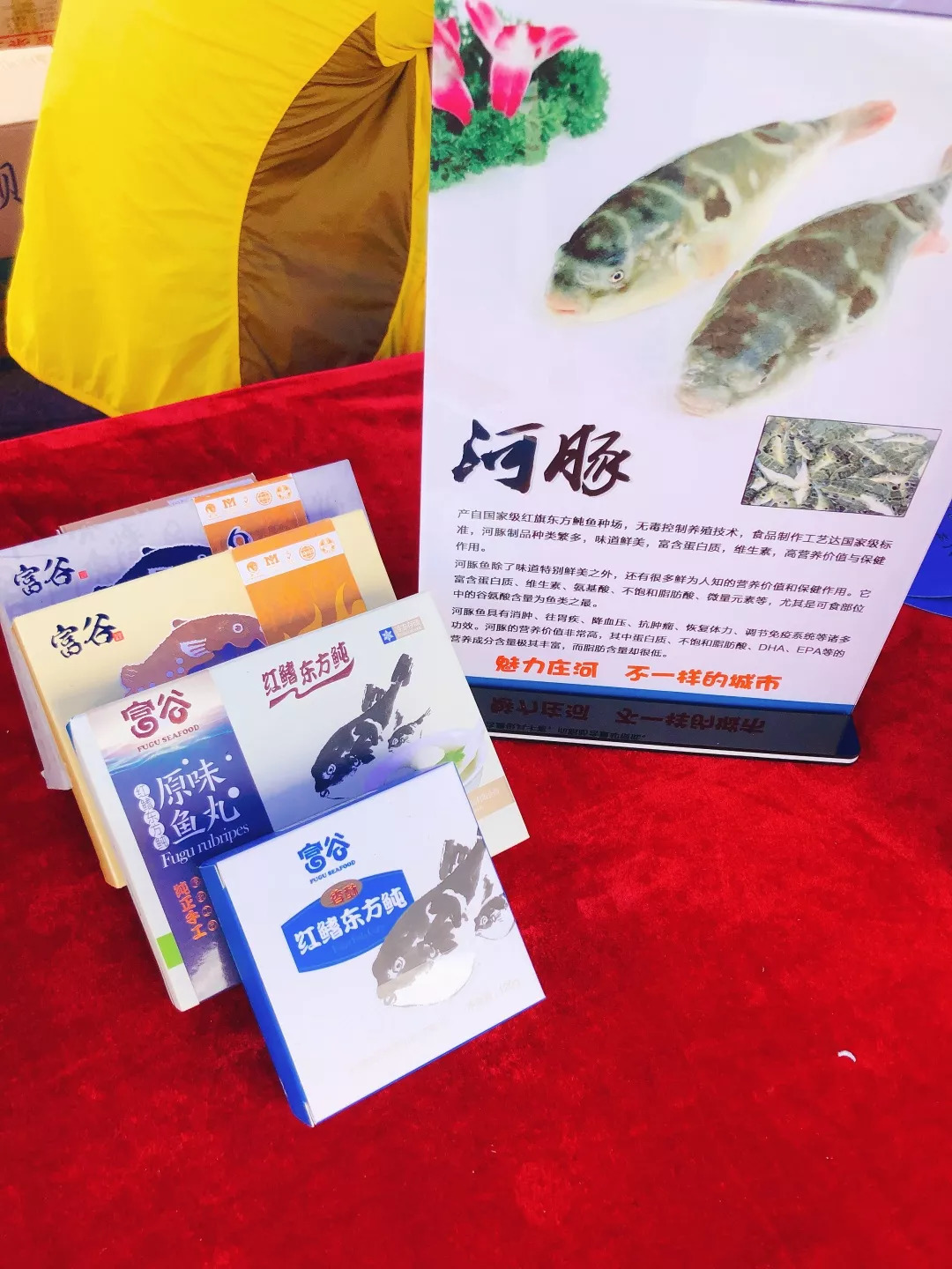 庄河吸引人口_庄河地图