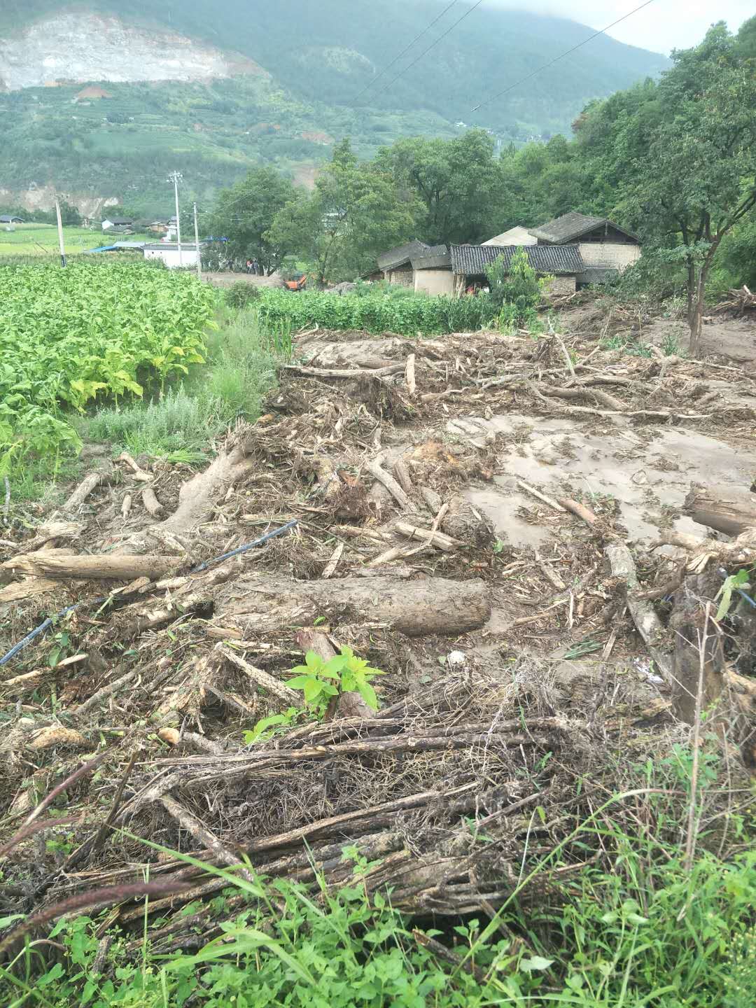 　山洪过后，当地有农田受损。当地村民供图