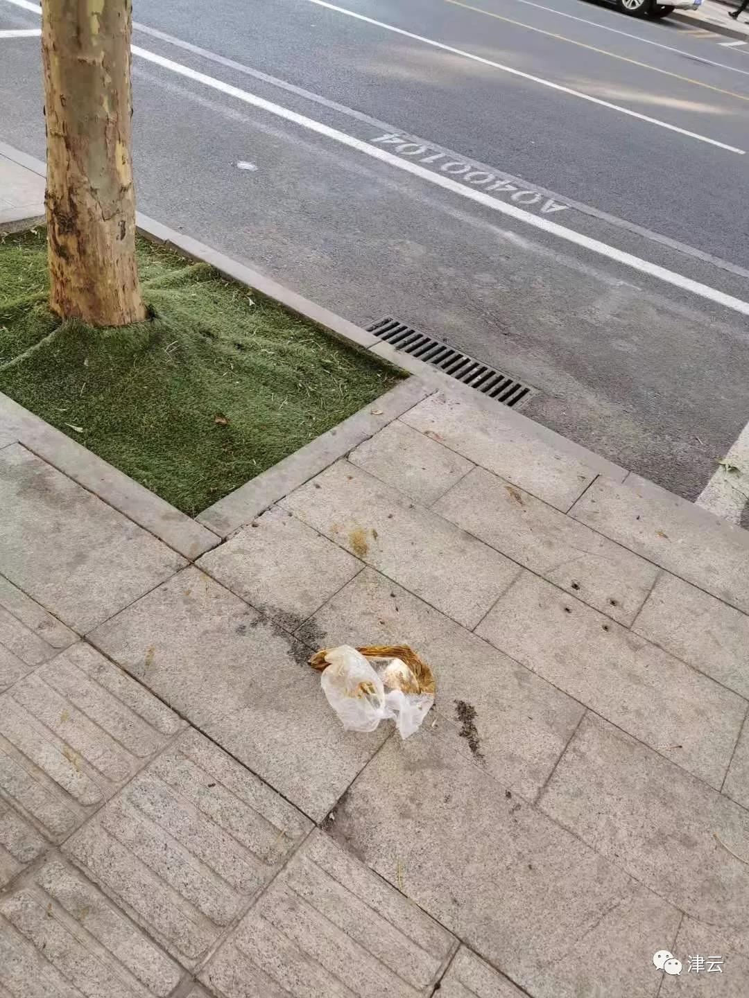 佳豪娱乐场真人 三大股指高开低走 房地产钢铁军工等领跌