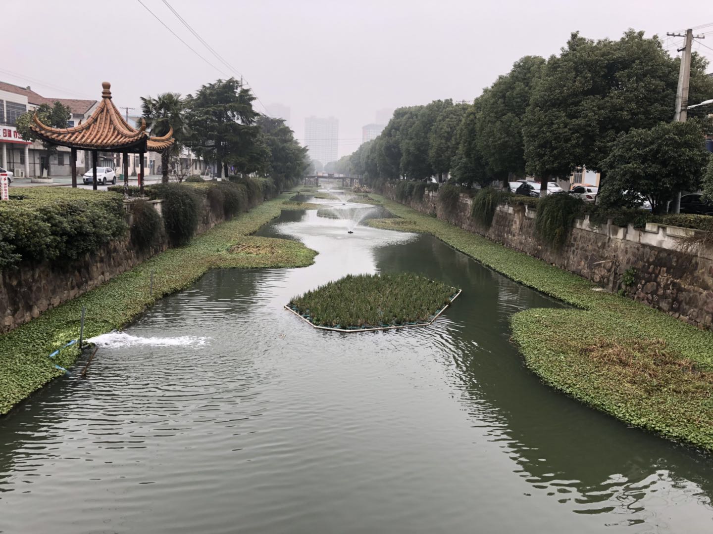 常州新北区有站小巷在哪里 最新位置与周边体验深度解析