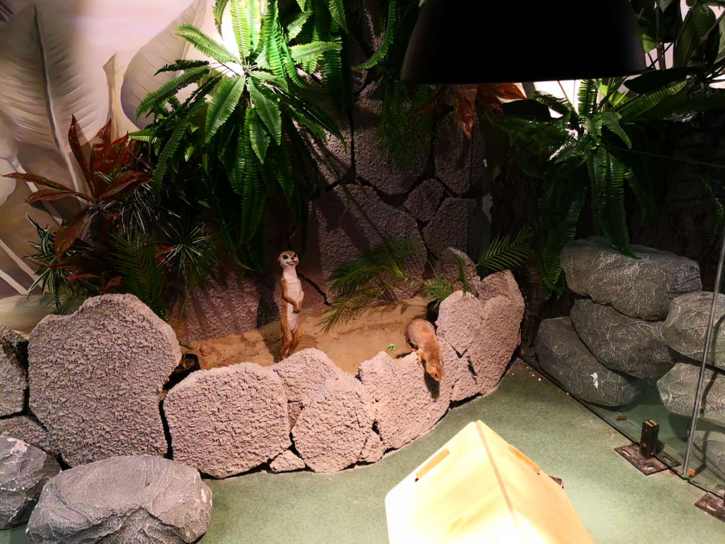 商业观察丨这个五一假期,去家居商