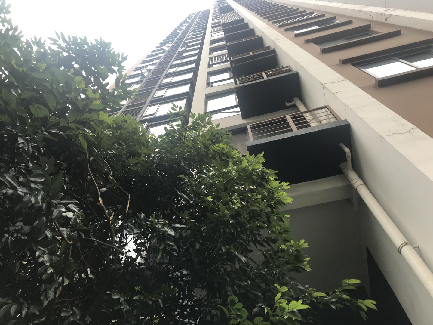 菲律宾太阳集团娛乐城·这三种孩子最讨人厌,可惜很多家长都不当回事!