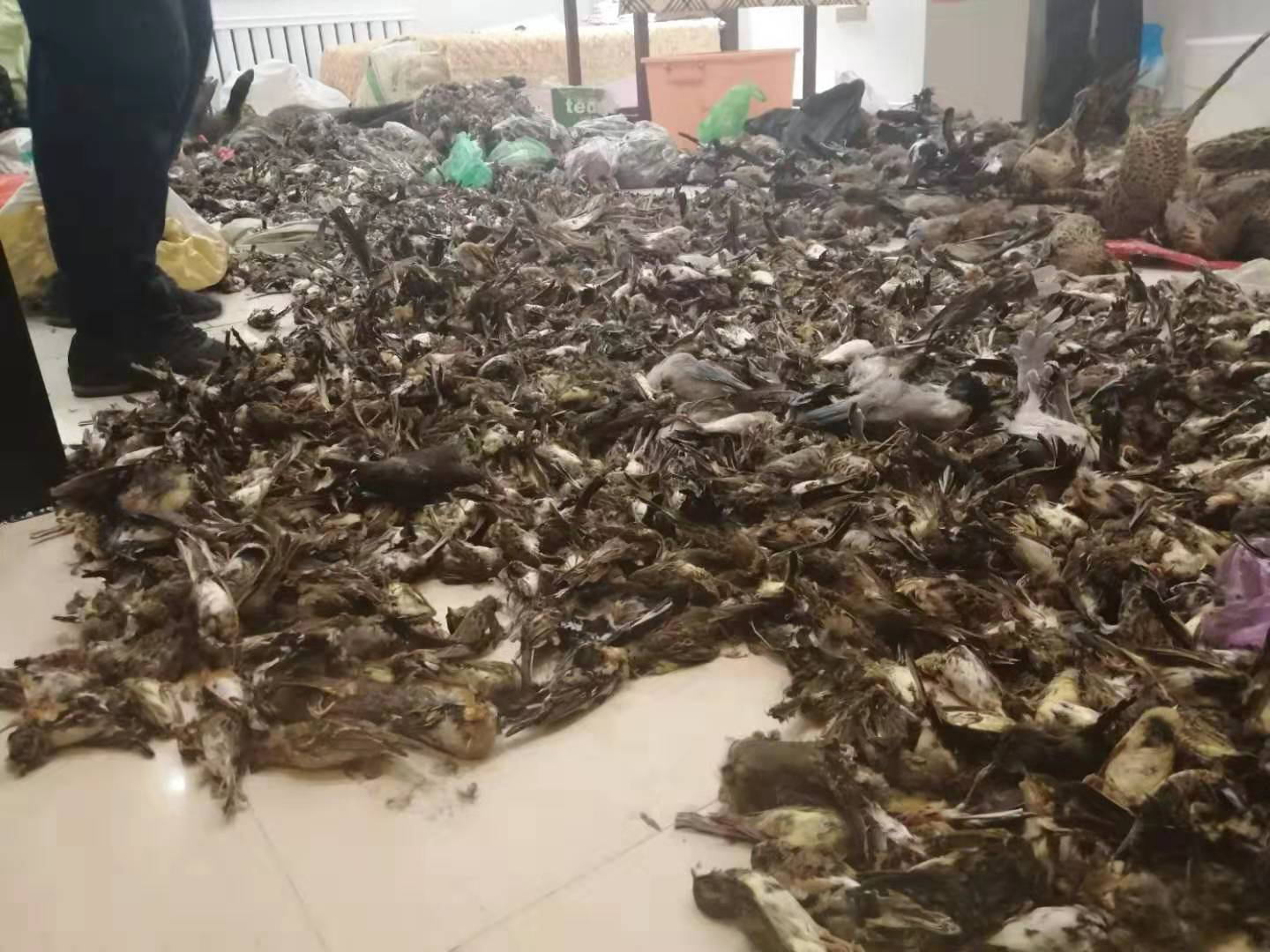 新建娱乐_「周末两性」学会3招,行不行见分晓