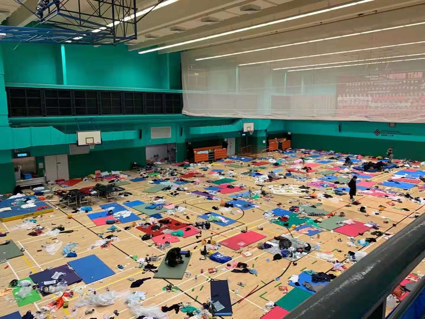 ek登陆地址|职场女强人,家中软妹子的3大生肖