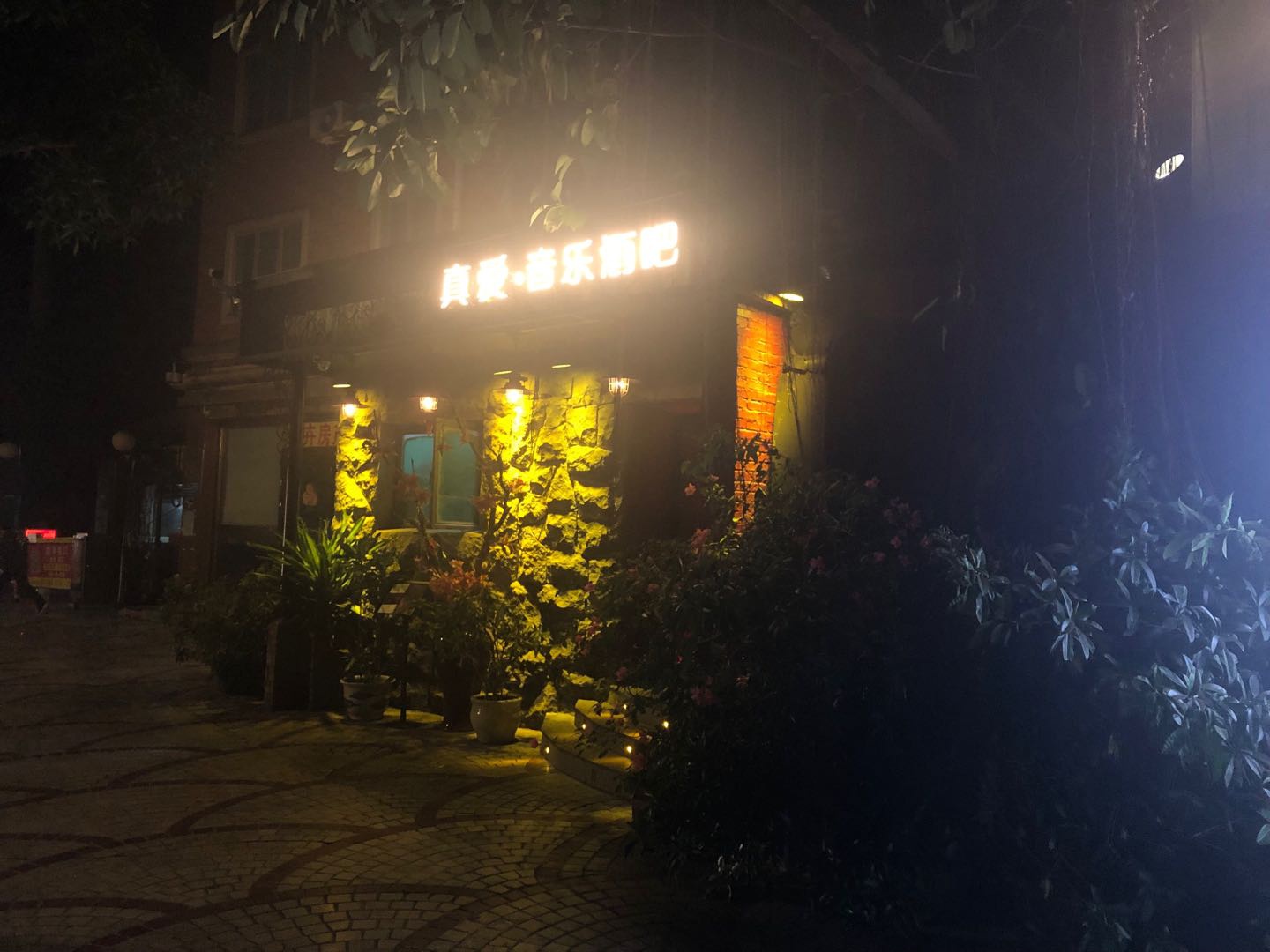 厦门真爱酒吧。澎湃新闻记者王选辉 摄