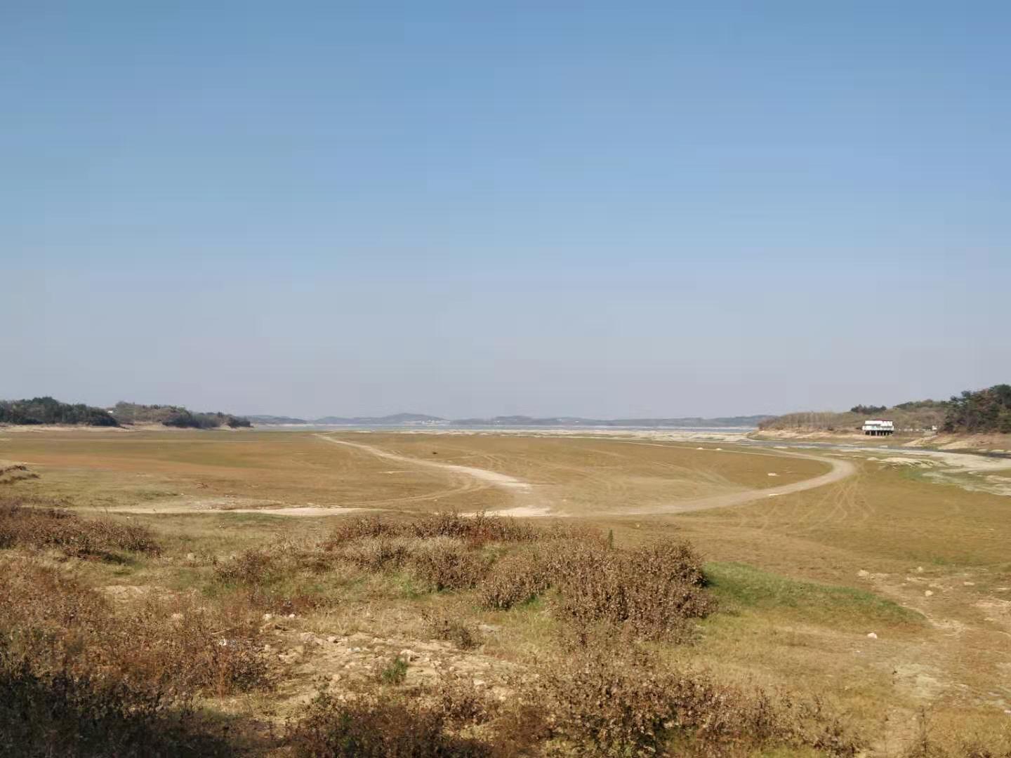 安徽遭数十年不遇大旱 如何实现逢旱不成灾