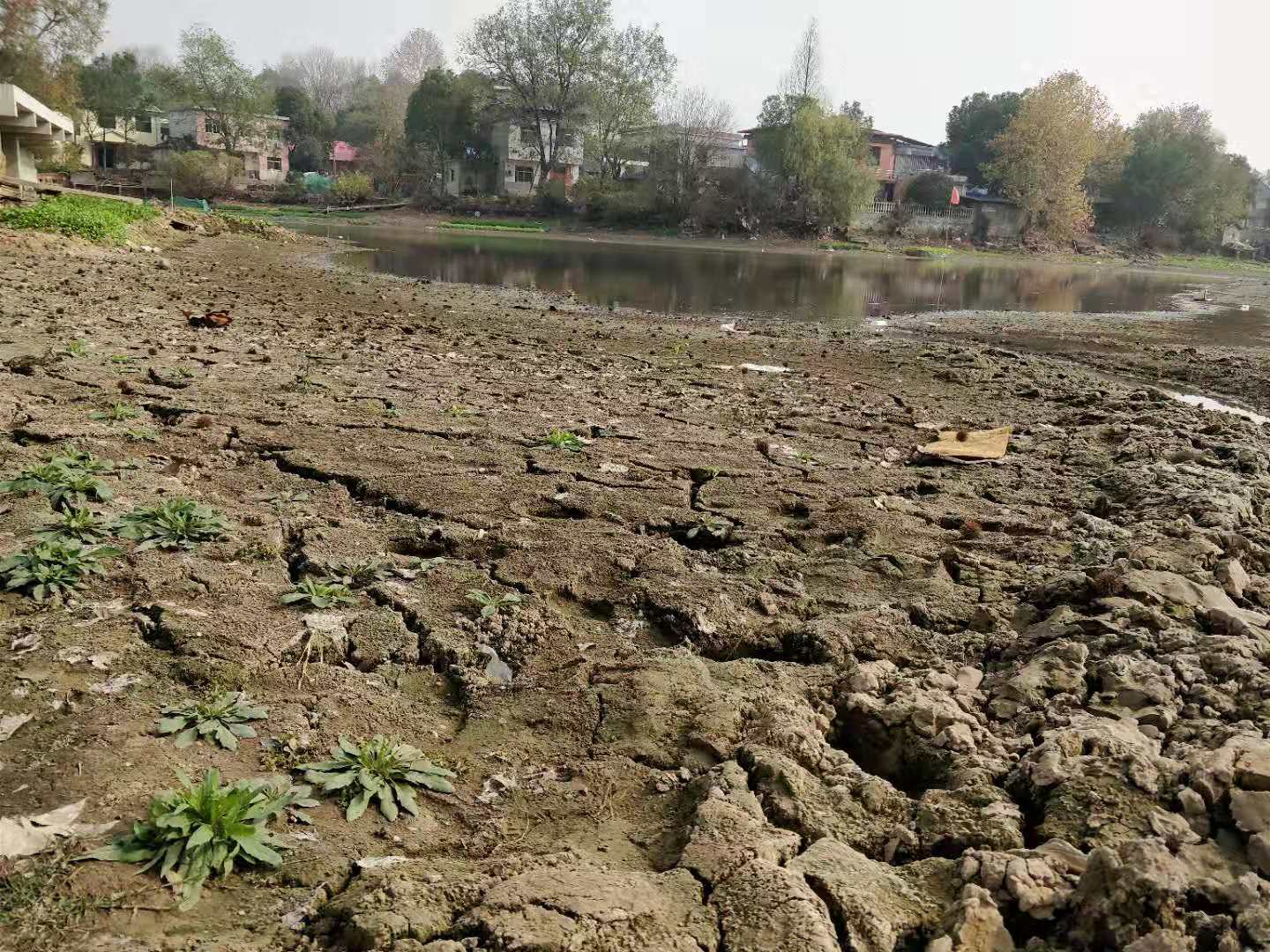 安徽遭数十年不遇大旱 如何实现逢旱不成灾