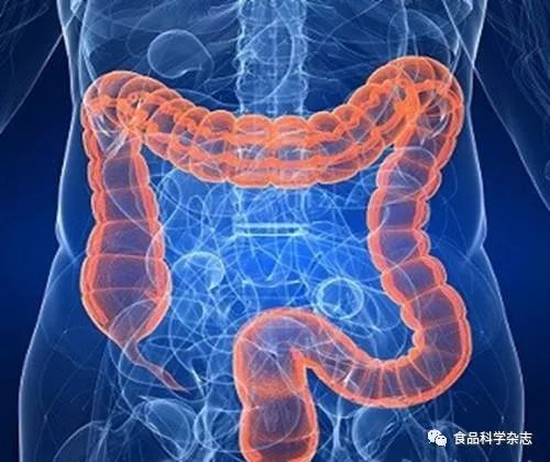 乳源酪蛋白糖巨肽对结肠癌HT-29细胞抗炎及血