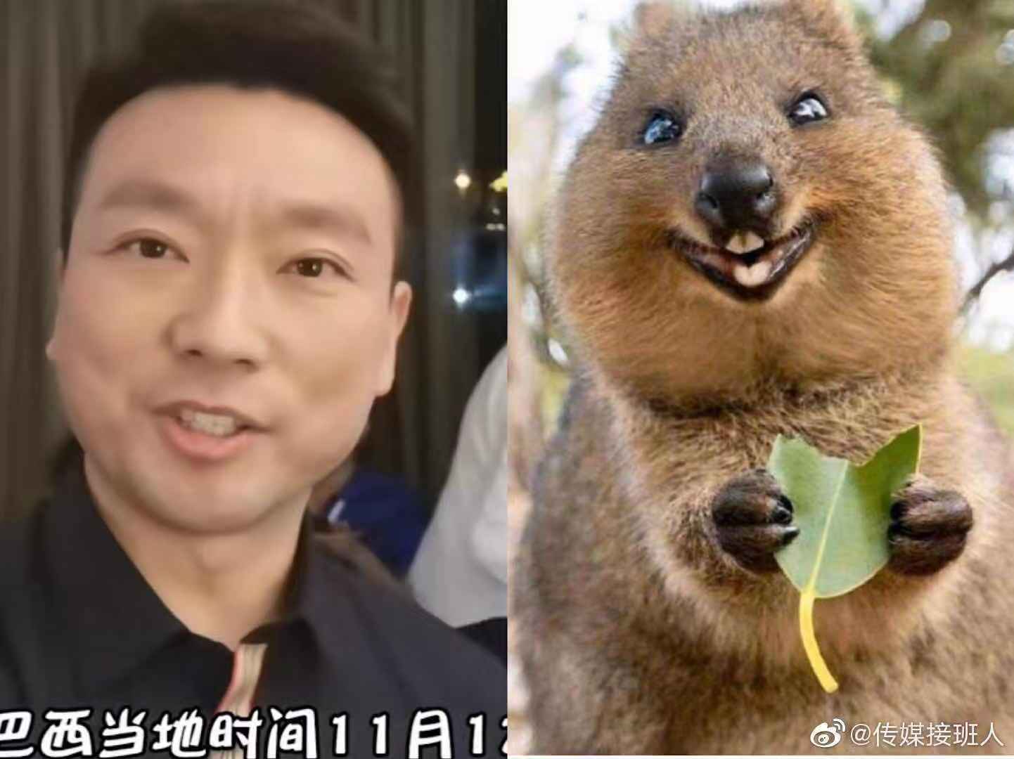 朱广权遇到房辉峰“对手”了 央视两大主持人“