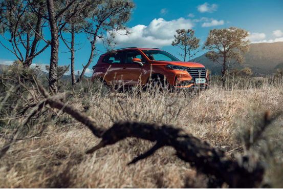 �Լ�حСʱ�� �Լ�ȫ�³���CS15