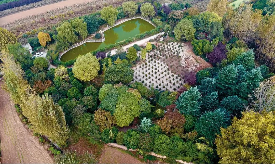 西安发布评陈路别墅被拆: 超级别墅倒下去,规矩