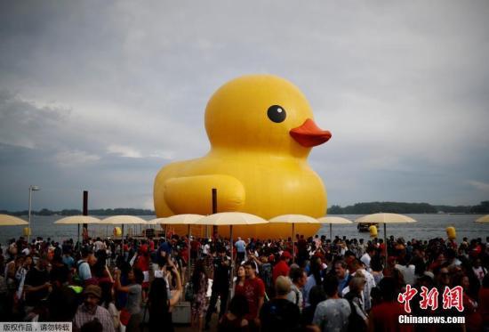 大黄鸭逃跑了?澳海滩一大黄鸭失踪 或被强风吹走