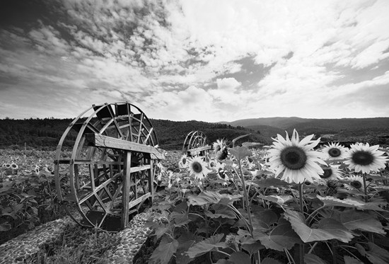 安宁:八个1000万专项资金助力乡村振兴