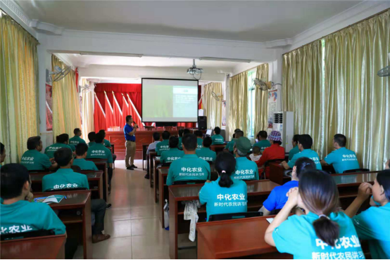 中化现代农业技术服务中心践行乡村振兴战略