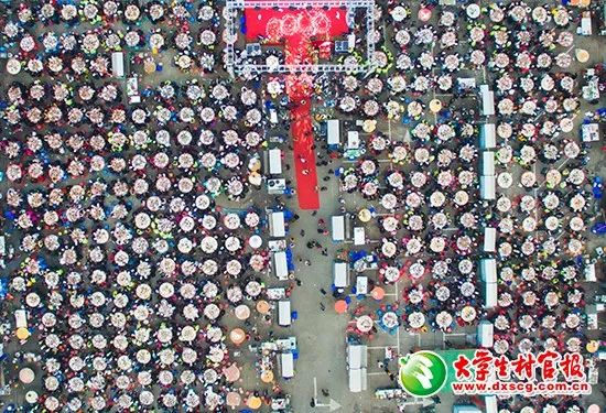 江苏美女村官探索出一条龙虾养殖产业振兴之道