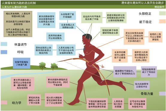 菲律兵人口_菲律中国商会(3)