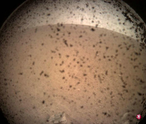 洞察号传回火星的第一个影像。(新加坡《联合早报》网站)