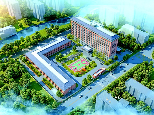 人口涌入山东_山东人口结构图(2)