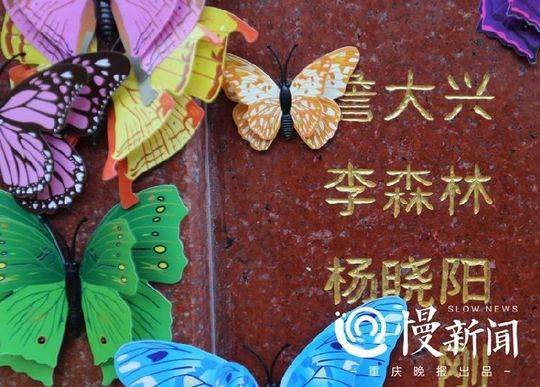 角膜受益者感谢捐助者