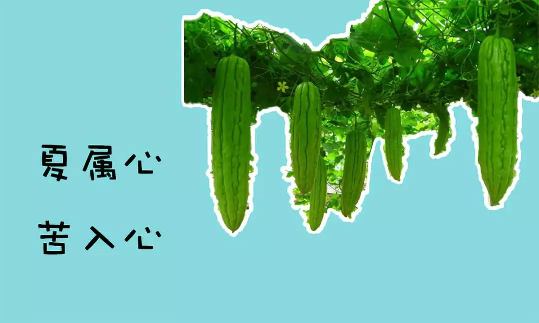 那就多吃些苦味的食物吧!