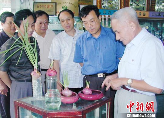 墨天枯种的洋葱 倪坐芳 摄