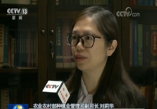 「m5代理群」荣耀MagicBook星云紫深度体验 工作娱乐两不误!