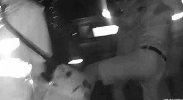 奥迪司机醉驾险撞到协警 拒检测踹断交警三根肋骨