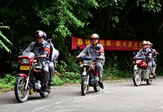 从卖木材到卖空气,海南养护“绿宝石”收获生态红利