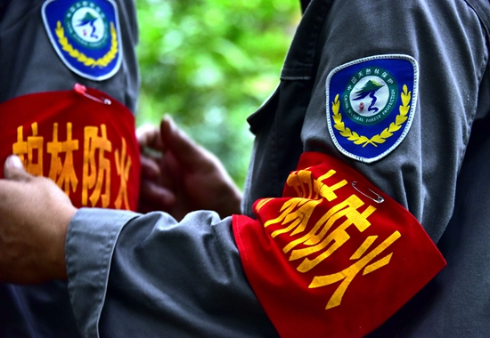 从卖木材到卖空气,海南养护“绿宝石”收获生态红利